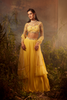 Aphrodite Lehenga Set