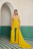 Suhehra Peplum Sharara Set