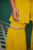 Suhehra Peplum Sharara Set