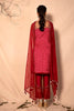 Ruby Red printed Strap suit with Pants, embroidered neckline and Embroidered Dupatta set